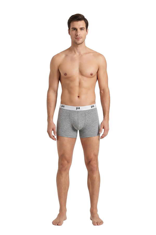 Men 5" BOXER BRIEF pack of 3 - multi color