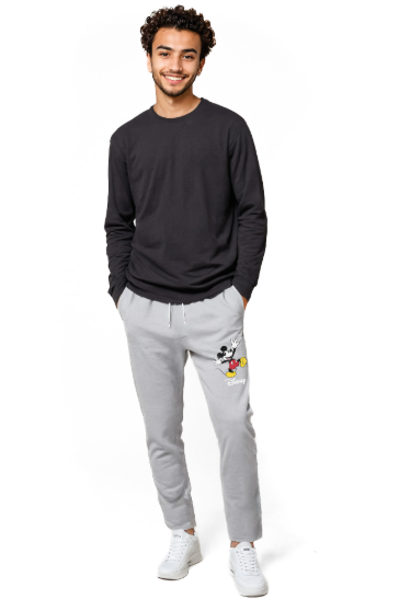 Disney MEN FANTASIA GREY PANT
